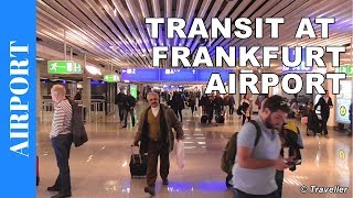 TRANSIT WALK AT FRANKFURT Airport FRA Terminal 1  Connection Flight Transfer Arriving amp Departing [upl. by Fryd819]